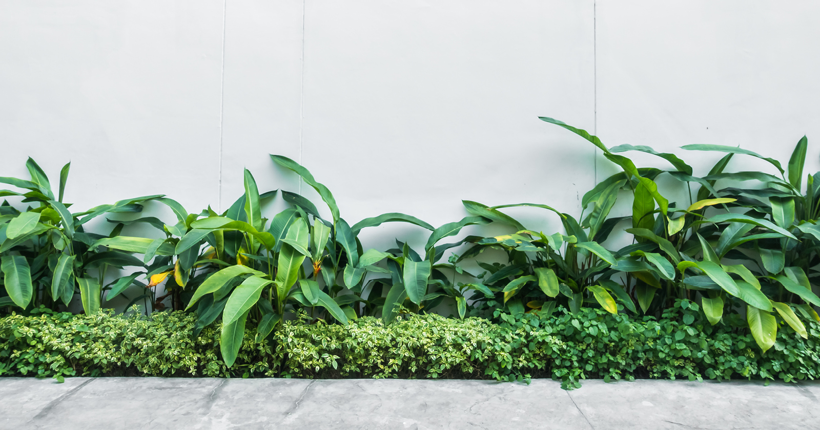 Tips for Getting Your Yard Ready for Summer