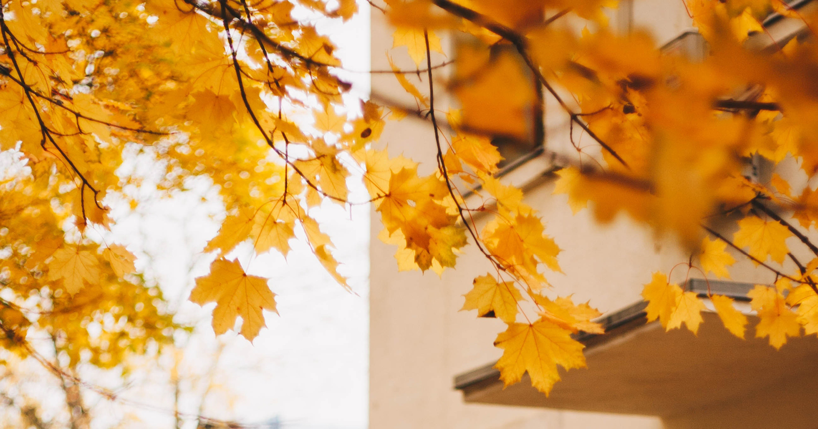 Fall Maintenance Checklist